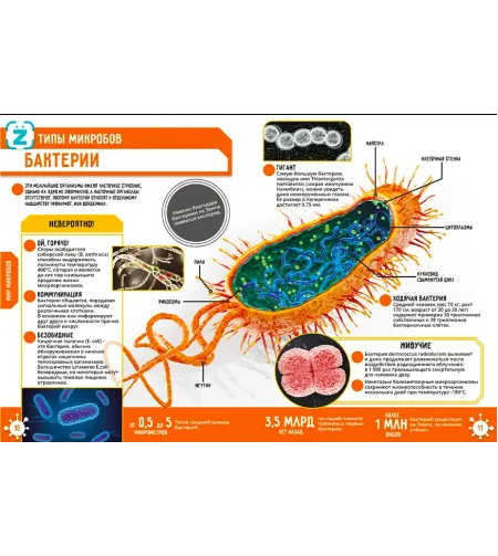 The book Microworld. 250 incredible facts (RU)