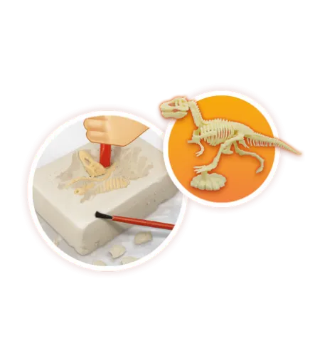 Volcanoes and Dinosaurs, Buki