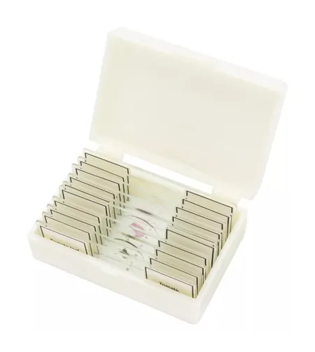 Подготовленные BRESSER слайды высокое качество набор из 10 штук