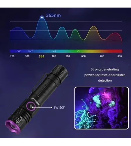 Zoom 395nm/365nm UV LED Flashlight