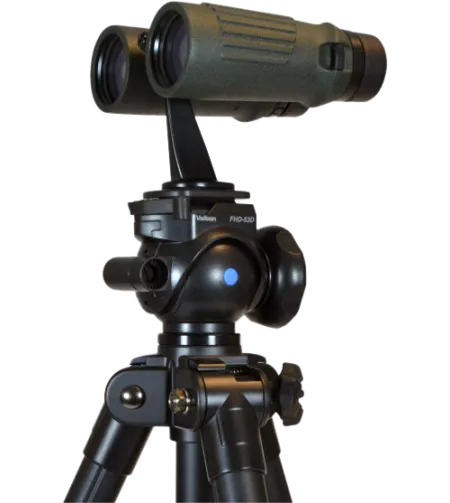 Žiūrono adapteris, Focus modelis L