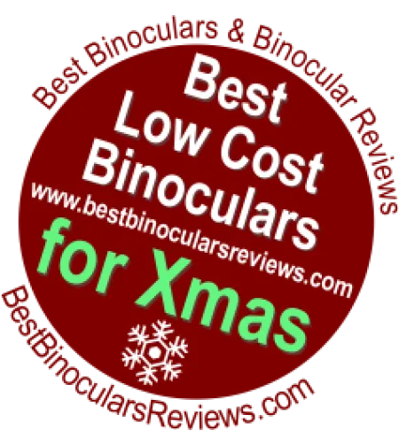 Levenhuk Karma PRO 8x32 Kompaktiškas kampines prizmes Neperšlampami Universalūs žiūronai