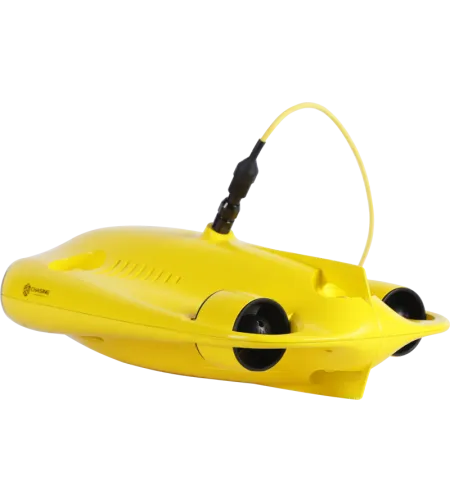 Chasing Gladius Mini 100m