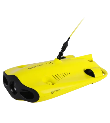 Chasing Gladius Mini 100m