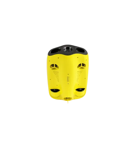 Chasing Gladius Mini 100m