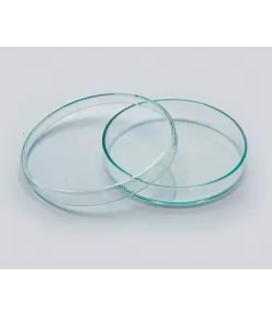 Petri stiklas, 90 mm skersmens