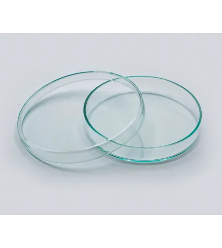 Petri glass 90 mm diameter